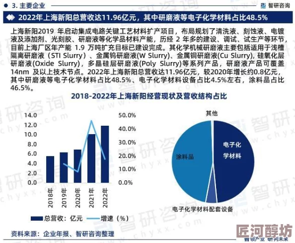 2023年国产日韩欧美综合影视市场分析报告发布