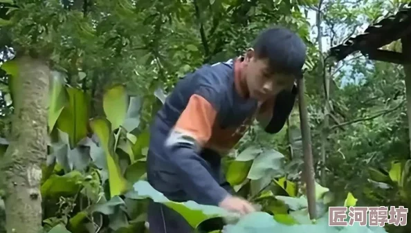 惊喜！林间小世界房子装饰秘籍：打造梦幻居所的建筑与装饰攻略强烈推荐