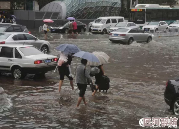 你弄得人家里都是水近日一场突如其来的暴雨导致多地积水严重，居民纷纷求助排水服务