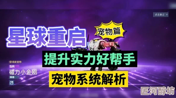 喵星联盟震撼发布：2023年度最强宠物排名揭晓，惊喜新宠荣登强度排行榜首！