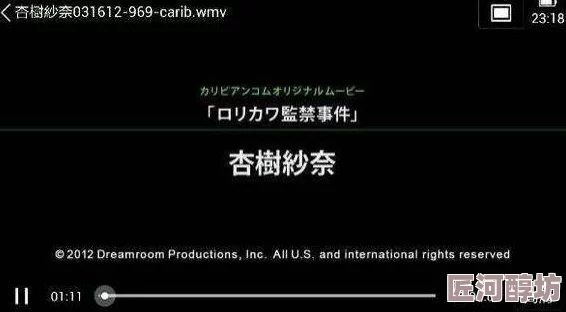 日韩毛片在线看现已下架请勿传播非法内容