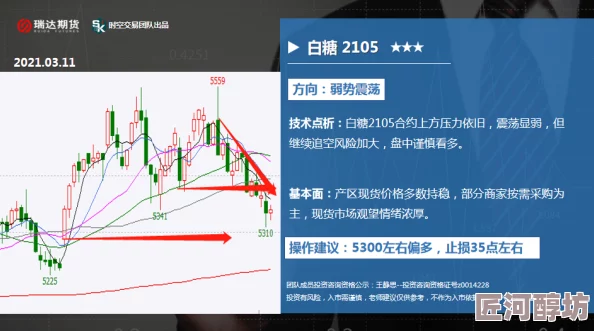 羞羞视频在线看内容尺度及潜在风险分析建议谨慎观看