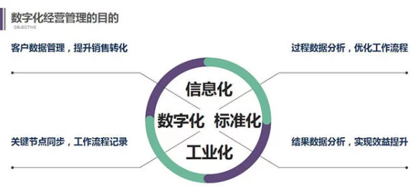 深入探索：燕云十六声中药品的制作流程与使用技巧详解