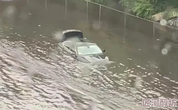 地铁逃生上线时间及新版本玩法探索详解